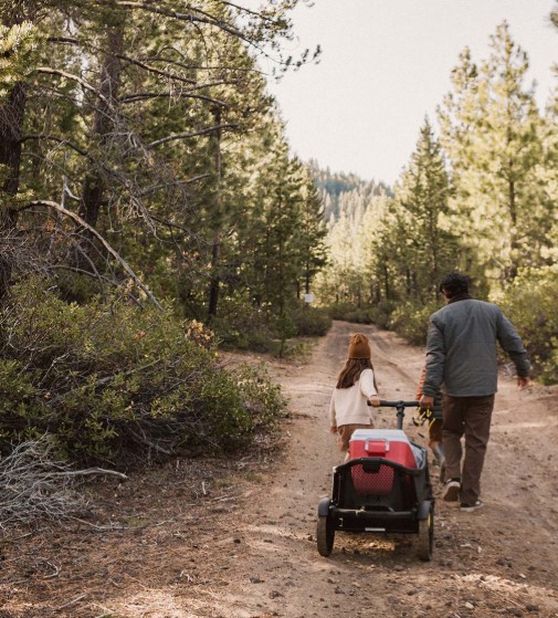 Hauling survival kit using the stroller wagon